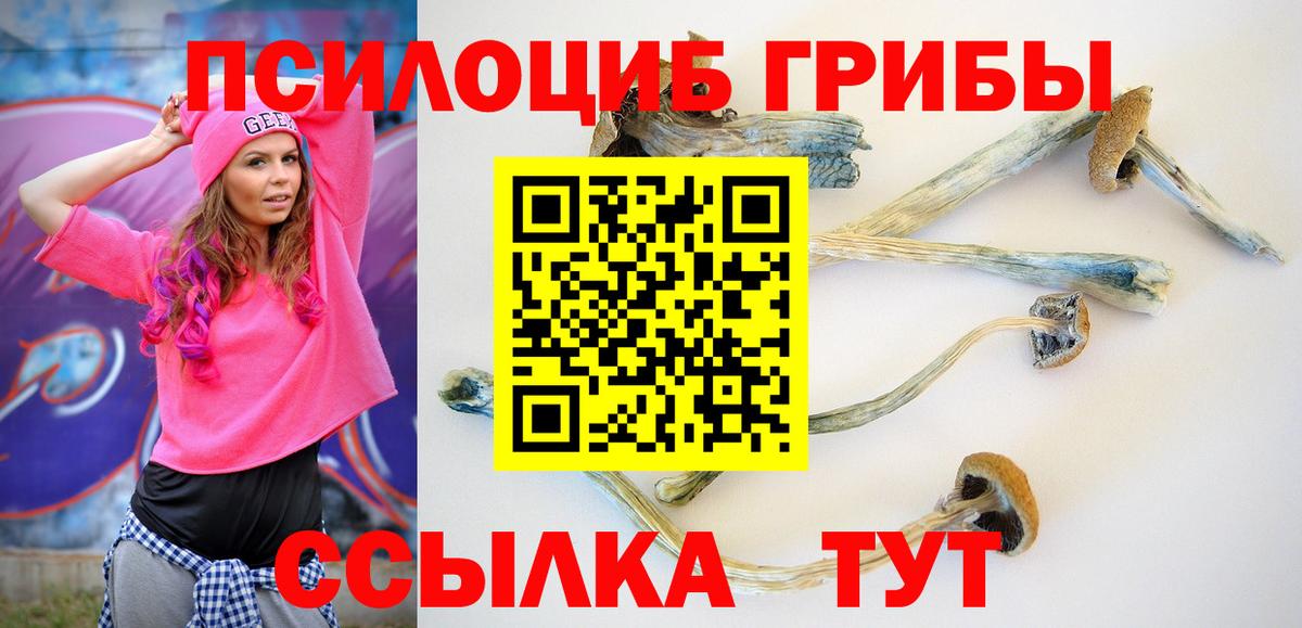 сколько стоит  Галлюциногенные грибы прущие грибы  Вход с VPN  Вязники 