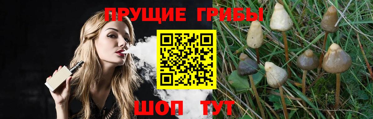 Галлюциногенные грибы ЛСД Вязники